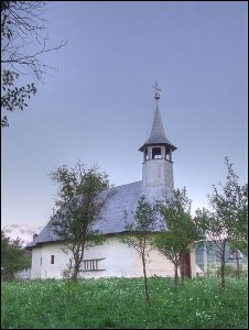 Lăcaşuri de cult din România; Biserica de lemn Sf. Dimitrie; ; ; 1806, rest.1933; 1806; ; Biserică de lemn; ortodox; Orthodox; orthodoxe; ARCALIA; ŞIEU-MĂGHERUŞ; Bistriţa Năsăud; Protoieria Alba Iulia; Arhiepiscopia Alba Iuliei; Mitropolia Clujului, Albei, Crişanei şi Maramureşului; 