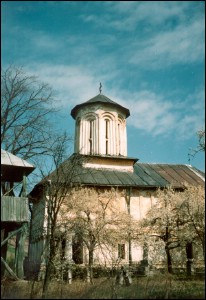 Lăcaşuri de cult din România; Biserica Sf. Nicolae, Sf. Ioan Botezătorul; ; ; ante 1822, cu pictură şi frescă 1822; 1882; ; Biserică; ortodox; Orthodox; orthodoxe; POROINIŢA; ROGOVA; Mehedinţi; ; Episcopia Severinului şi Strehaiei; Mitropolia Olteniei; 