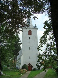 Lăcaşuri de cult din România; ; ; ; sec. XIII-XVIII; 1201; 1800; Biserică; reformat; Reformed; réformé; FÂNTÂNELE; FÂNTÂNELE; Mureş; ; ; ; 