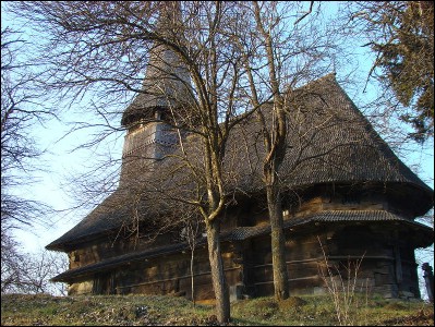 Lăcaşuri de cult din România; Biserica de lemn Sfinţii Arhangheli Mihail şi Gavriil; ; ; 1753; 1753; ; Biserică de lemn; ortodox; Orthodox; orthodoxe; DOMNIN; SOMEŞ-ODORHEI; Sălaj; Protopopiatul Ortodox român Zalău şi Jibou; Episcopia Oradea; Mitropolia Clujului, Albei, Crişanei şi Maramureşului; 