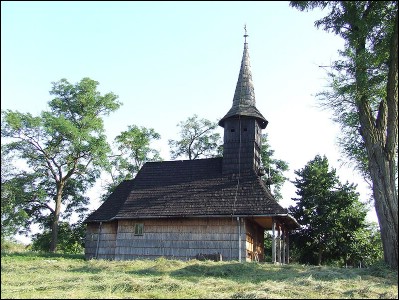 Lăcaşuri de cult din România; Biserica de lemn Adormirea Maicii Domnului; ; ; sec. XVIII; 1701; 1800; Biserică de lemn; ortodox; Orthodox; orthodoxe; BOLDA; BELTIUG; Satu Mare; ; Episcopia Maramureşului şi a Sătmarului; Mitropolia Clujului, Albei, Crişanei şi Maramureşului; 